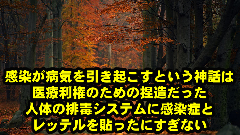 永らく人類は感染神話に騙されてきた！スナメリオさんの究極の記事「風邪はうつらない」を超解読！