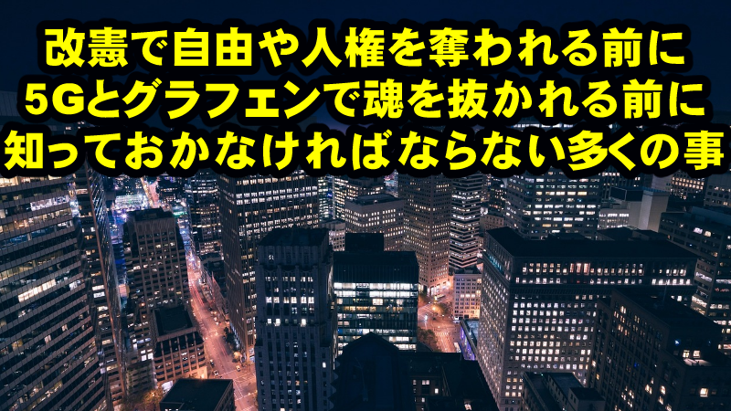 本丸は、完全管理・支配社会!移民問題も社会不安を意図的に創出して、管理社会に誘導するための罠!