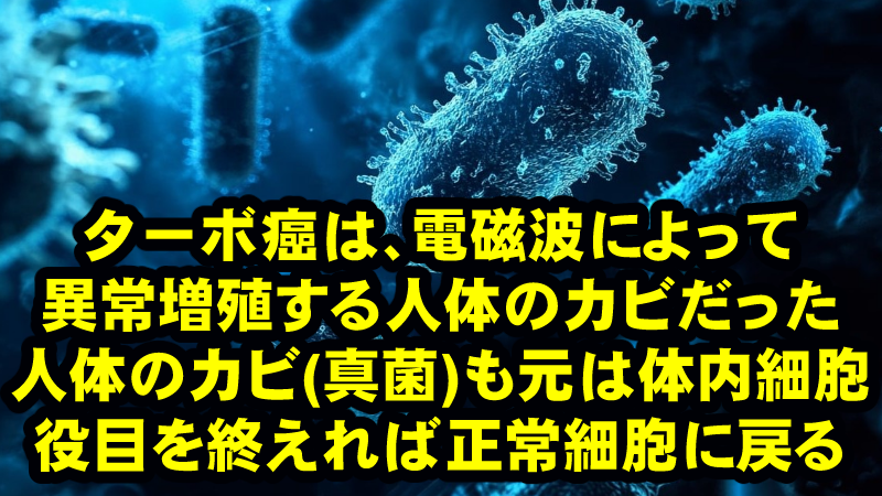 癌の正体はカビ(真菌)だった!電磁放射線で異常増殖すると(特に)接種者の体内のカビがターボ癌の原因だと科学者によって明かされた!