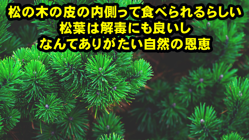 心を持った生き残るべき人が生き残りにくい時代になってきたので、生き残りに役立つ情報を集めてみた